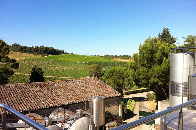 Half day wine tour. Private tour from Carcassonne and around. - Key points to know before you book