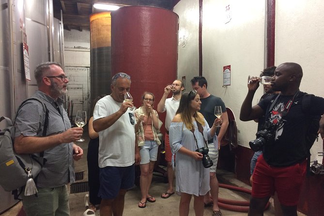Half day wine tour. Private tour from Carcassonne and around. - The Languedoc setting around Carcassonne
