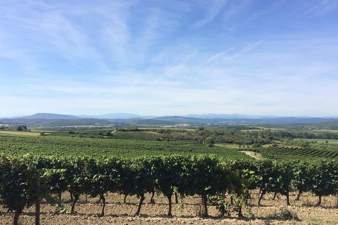Half day wine tour. Private tour from Carcassonne and around. - What the private guide and vehicle add