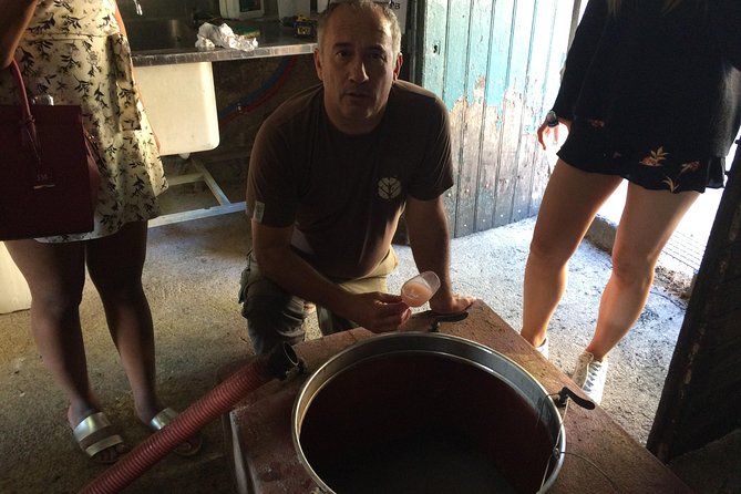 Half day wine tour. Private tour from Carcassonne and around. - Is $75 good value?