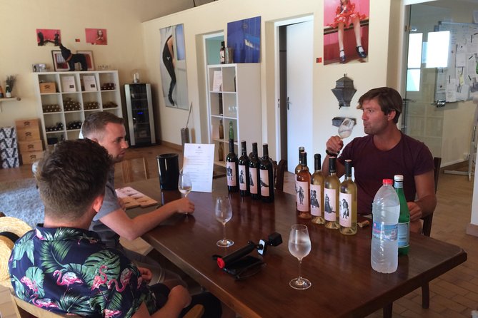 Half day wine tour. Private tour from Carcassonne and around. - Who will enjoy this tour most?