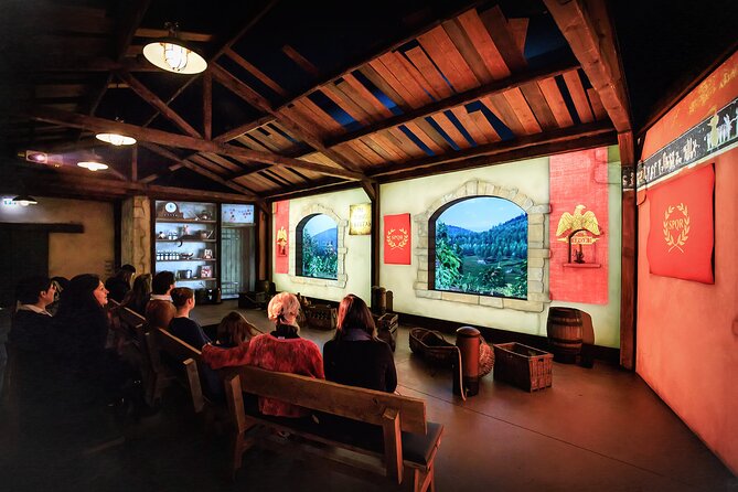 Hameau Duboeuf, 1st theme park on Vine and Wine in Europe - 3D film, dynamic cinema, and the My Beaujolais show