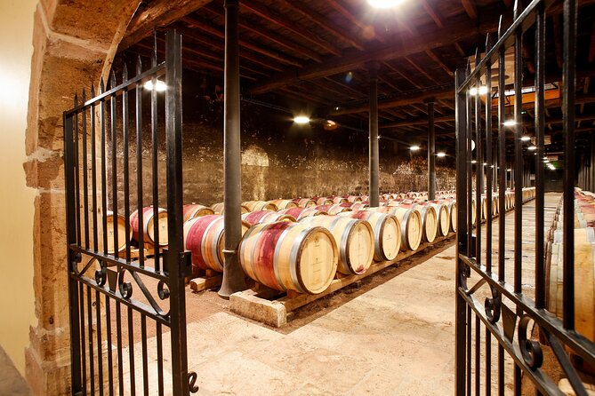 Hameau Duboeuf, 1st theme park on Vine and Wine in Europe - Extra activities: Explor Games and the gardens (only if you want them)