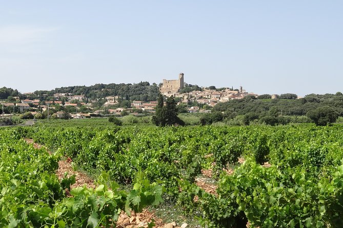 Highlights of Provence : Chateauneuf du Pape & Luberon - Lacoste drive-through: what you get in 30 minutes