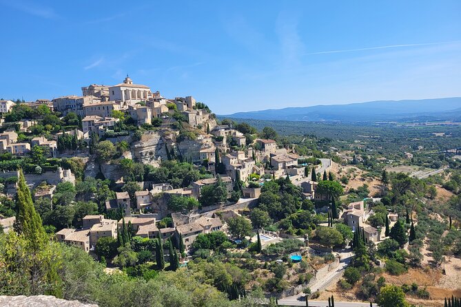 Highlights of Provence in one day - Meeting point, van comfort, and why timing matters