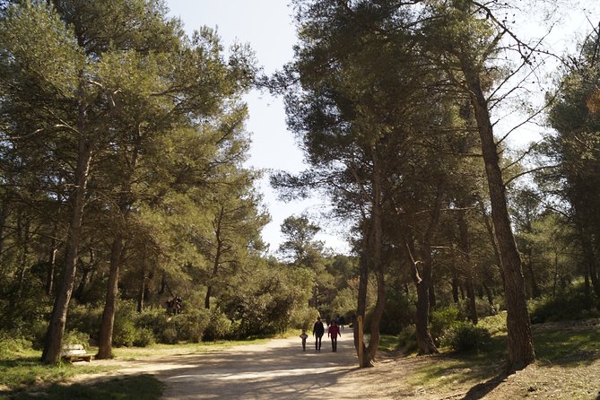 Hiking in the Calanques National park from Marseille - Calanque of Saint John of God: where the scenery slows you down
