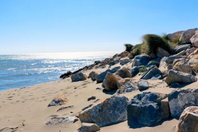 Historic Arles & the beaches and Pink Flamingoes of the Camargue - Two hours at Saintes-Maries-de-la-Mer