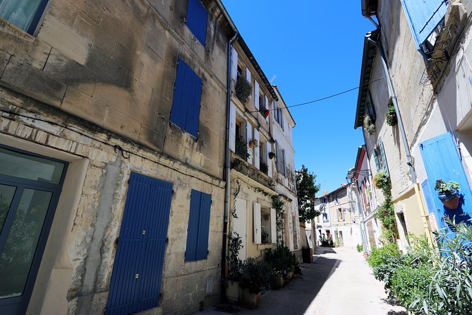 Historic Arles & the beaches and Pink Flamingoes of the Camargue - Who will enjoy this day most