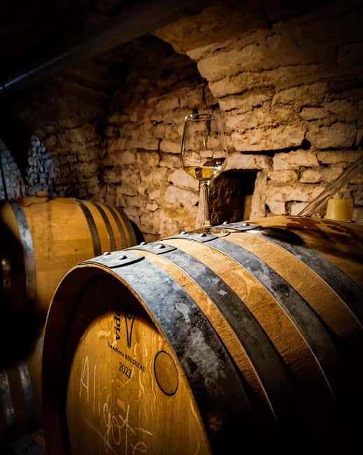Historic Center of Dijon : Discovery Tasting Wine Burgundy - Key points to know before you go