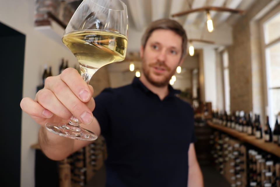 Historic Center of Dijon : Discovery Tasting Wine Burgundy - The tasting flight: crémant, two whites, two reds, and a Premier Cru