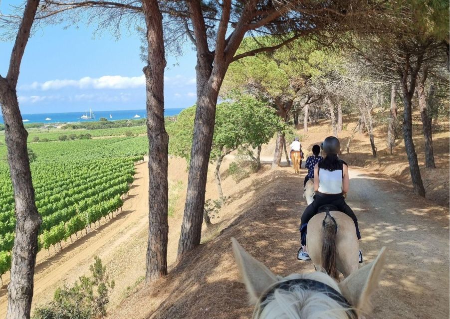 Horse back riding + wine tasting in Ramatuelle - Riding above Pampelonne Bay