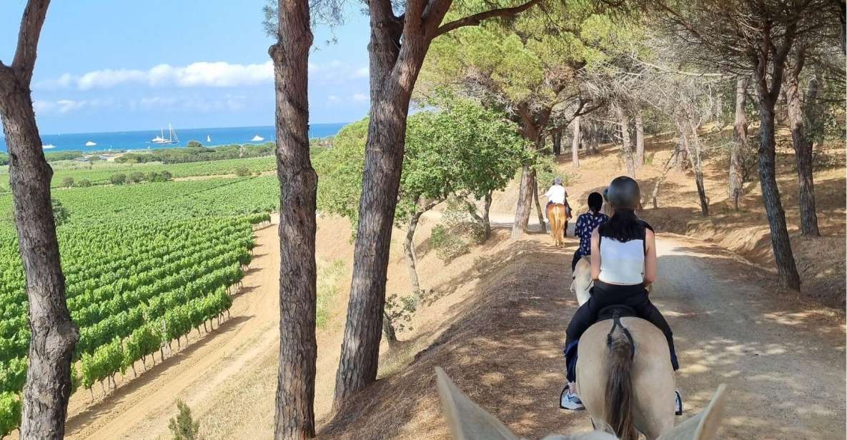 Horse back riding + wine tasting in Ramatuelle - An easy ride for beginners