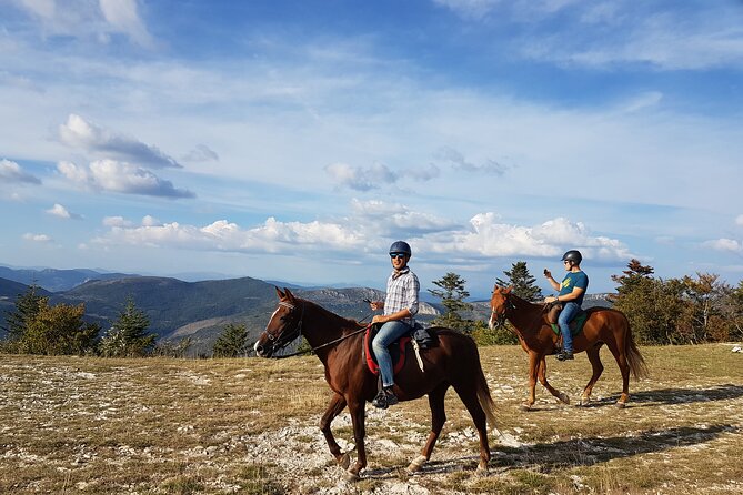 Horse ride in Haute Provence Luberon and Forcalquier - After the trail: meeting the horses with Jules