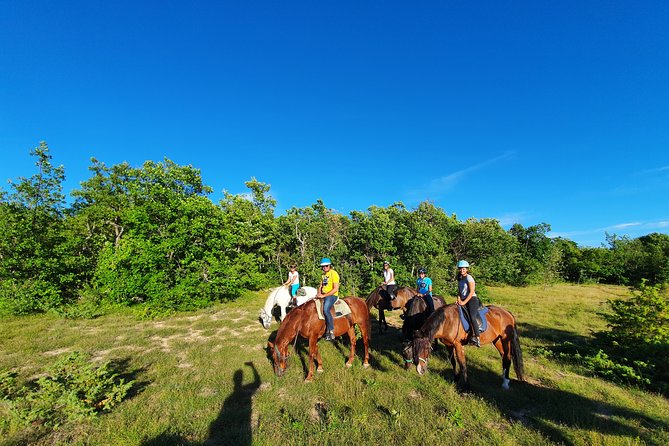 Horse ride in Haute Provence Luberon and Forcalquier - Group size and why it changes the whole feel