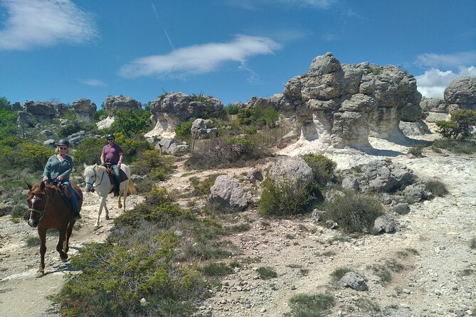 Horse ride in Haute Provence Luberon and Forcalquier - The 4:00 pm start that makes the ride feel unhurried