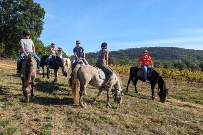 Horse riding in the vineyards of Grimaud + wine tasting - Why this Grimaud ride feels different from a standard Saint-Tropez outing
