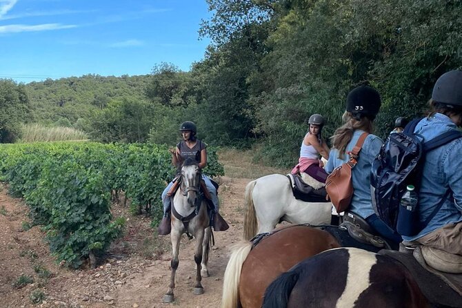 Horse riding in the vineyards of Grimaud + wine tasting - Weather and cancellation rules