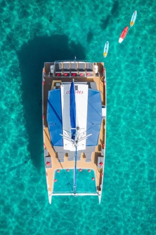 Hyères : Morning Discovery or Relaxing Afternoon cruise - Who should book this Hyères sea cruise (and who might not)