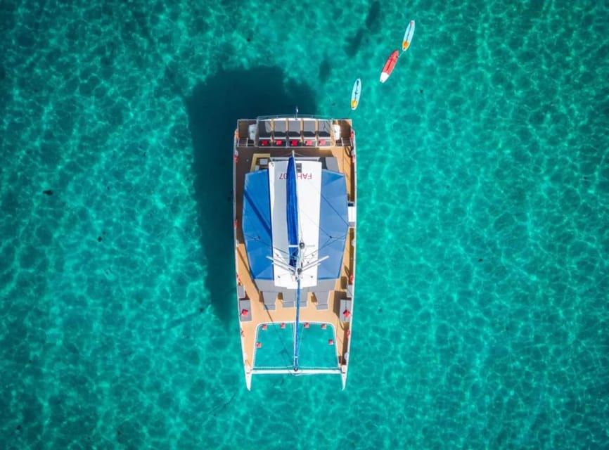 Hyères : Morning Discovery or Relaxing Afternoon cruise - Morning discovery vs relaxing afternoon: pick your mood