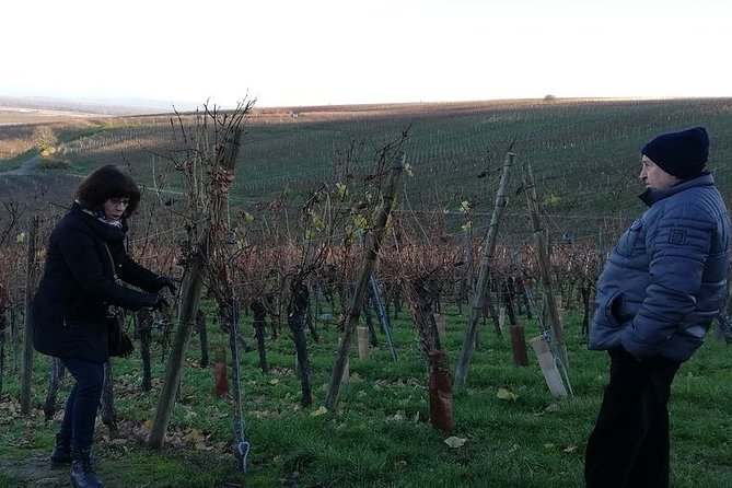 ICONICS Tour: 1/2 day on the Wine Route, visit of 2 Villages + Tasting. - The Alsace wine route cellar visit: tasting with real winemakers