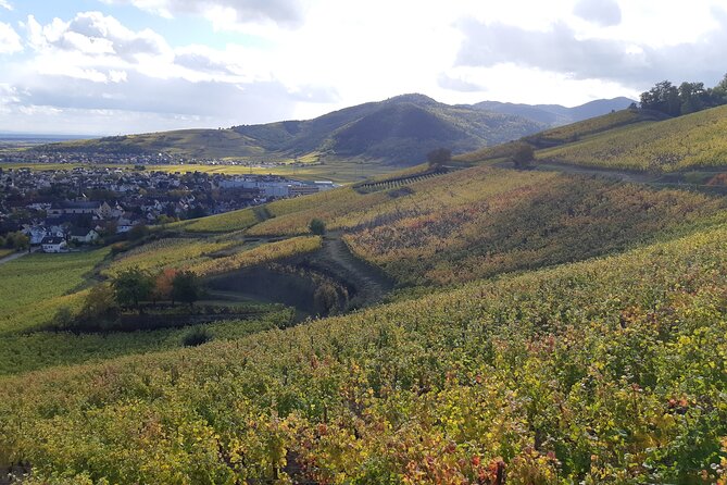 ICONICS Tour: 1/2 day on the Wine Route, visit of 2 Villages + Tasting. - What you taste and how the tasting works (no food crutch)
