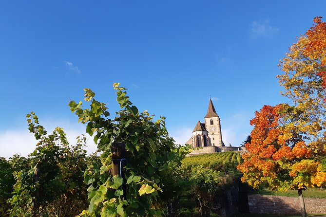 ICONICS Tour: 1/2 day on the Wine Route, visit of 2 Villages + Tasting. - When to go and how to plan your afternoon