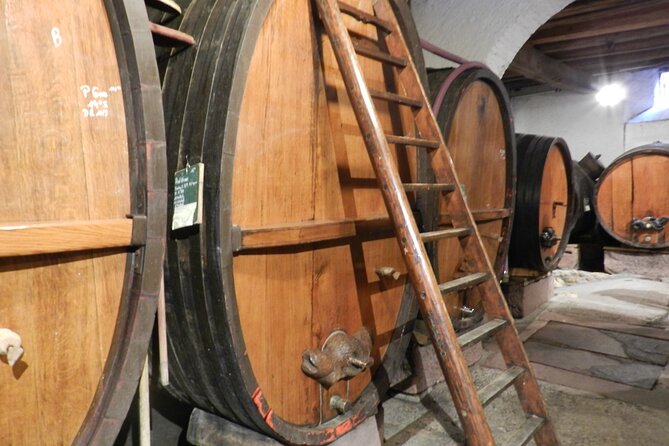 ICONICS Tour: 1/2 day on the Wine Route, visit of 2 Villages + Tasting. - Should you book this tour? Who it fits best