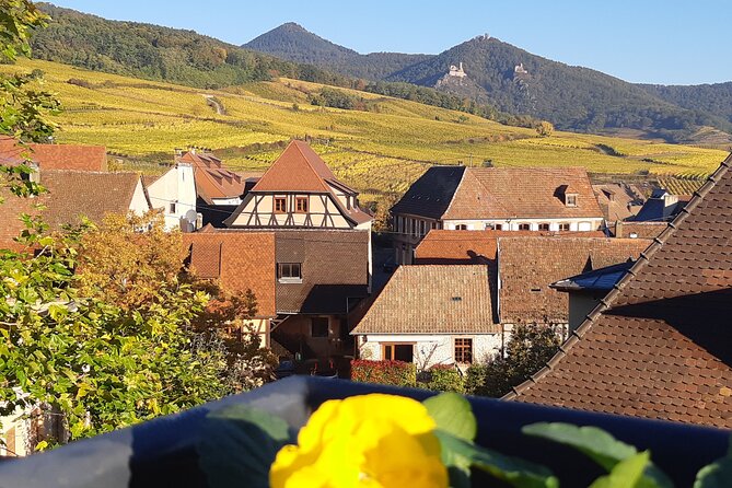 ICONICS Tour: 1/2 day on the Wine Route, visit of 2 Villages + Tasting. - Hunawihr and Riquewihr: two village flavors of Alsace