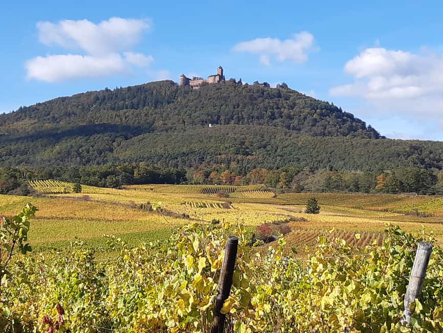 Iconics Typical villages & Haut Koenigsbourg castle - Why this route gives you a good first look at Alsace