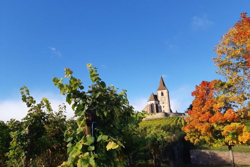 Iconics Typical villages & Haut Koenigsbourg castle - Meeting in Colmar and setting out at 9:00