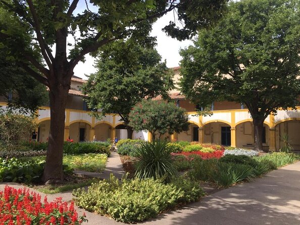 In the footsteps of Van Gogh in Provence from Avignon - Following Van Gogh’s Provence: Why Arles and Saint-Rémy Still Feel Personal