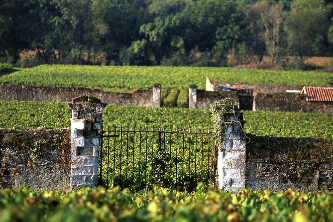 Incredible Loire castles tour with lunch and a vineyard visit - Winery visit and tastings: up to five or six glasses