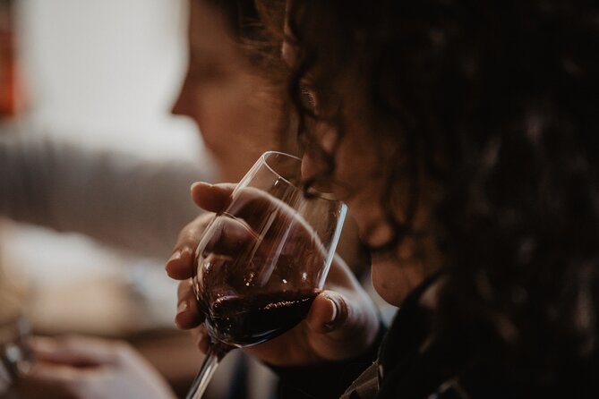 Introduction to Bordeaux wines paired with cheeses & charcuterie - Group Size, Attention, and Why This Doesn’t Feel Like a Factory Tour