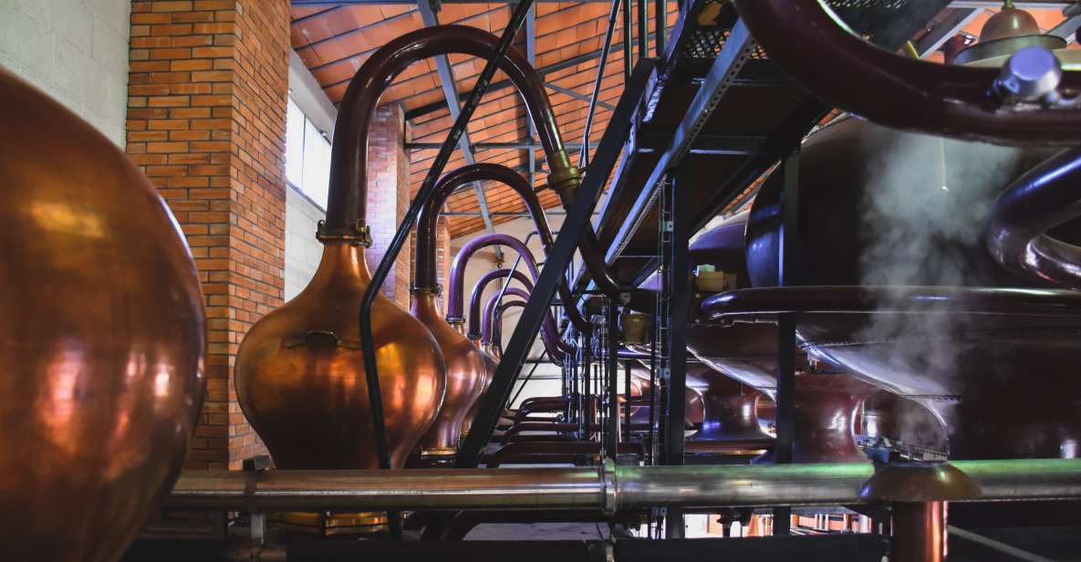 Jarnac: Braastad cognac discovery tour - Getting a real feel for cognac at Braastad in Jarnac
