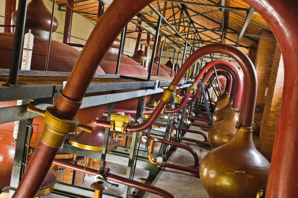 Jarnac: Braastad cognac discovery tour - Where the value really comes from: $17 for a full craft education