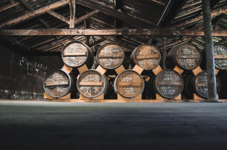 Jarnac: Braastad cognac discovery tour - Who should book this tour (and who might not)