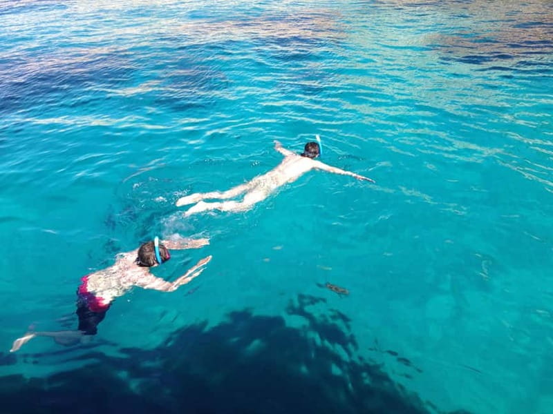 La Ciotat: Calanques Morning Boat Tour with Snorkeling - Calanque d’En-Vau: where the scenery turns showy