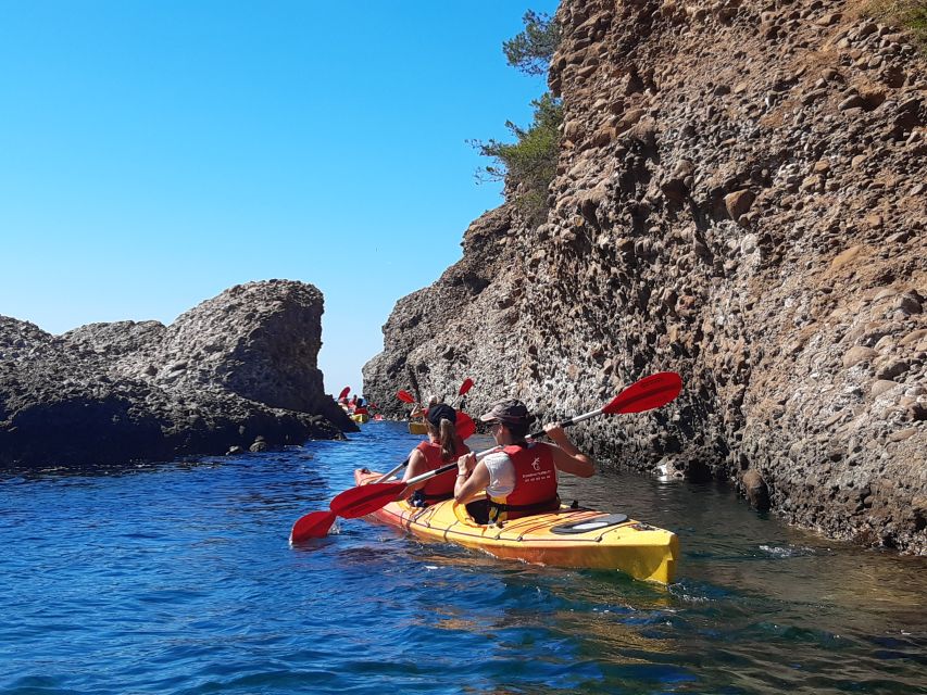 La Ciotat: Calanques National Park Guided Kayak Tour - Price and value: what $89 buys you (and why it’s not just a float)