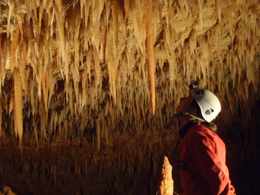 La Ciotat: Caving in Calanques National Park Half-Day Tour - A 20-Minute Walk Through the Park