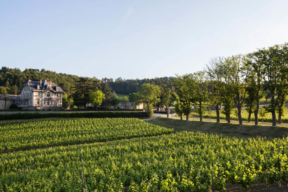 Languedoc: Tour and Tasting at Domaine de Baronarques - Key takeaways before you go