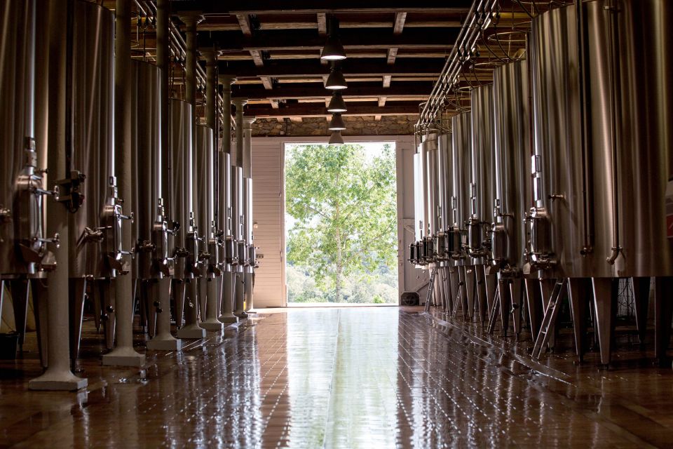 Languedoc: Tour and Tasting at Domaine de Baronarques - Should you book the Domaine de Baronarques tour?