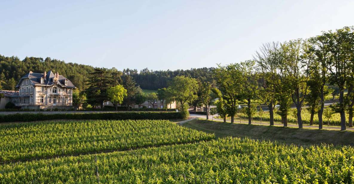 Languedoc: Tour and Tasting at Domaine de Baronarques - Inside the vat-house and barrel aging cellar