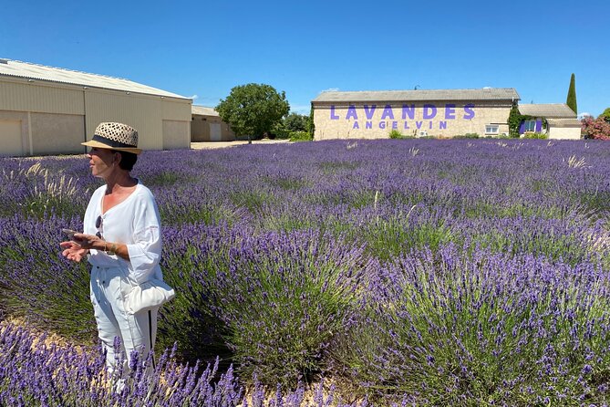 Lavender Discovery Private Tour in Provence - What you do during the 90-minute field stop