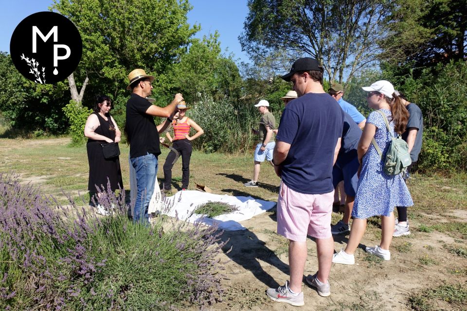 Lavender Field & Distillery Tour between Nimes & Arles - What a 1-hour Lavender Field and Distillery Tour Covers