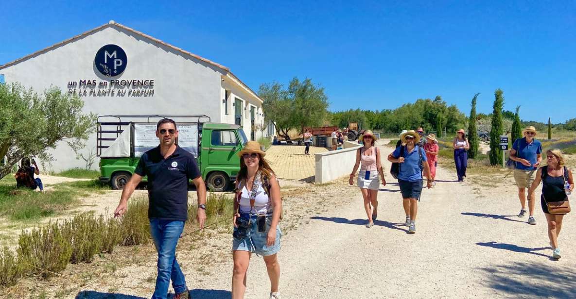 Lavender Field & Distillery Tour between Nimes & Arles - Around the Still: Watching Steam Turn Flowers into Organic Oil