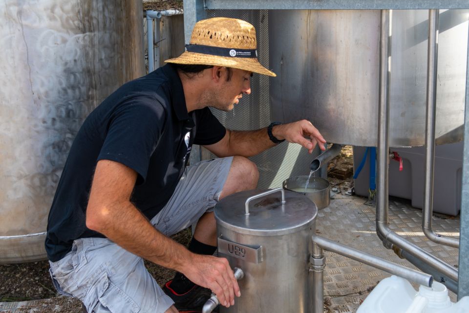 Lavender Field & Distillery Tour between Nimes & Arles - Shop Time: Personalized Advice on Essential Oils and Natural Products
