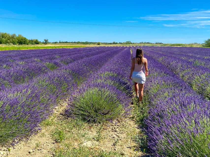 Lavender Field & Distillery Tour between Nimes & Arles - Price Value: Why This Costs About $9 for a Real Farm Experience