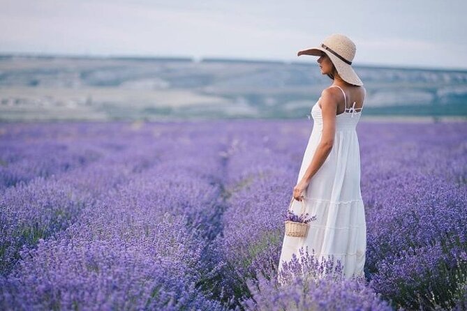 Lavender Fields Full Day Private Tour From Marseille - The lavender season on Valensole Plateau