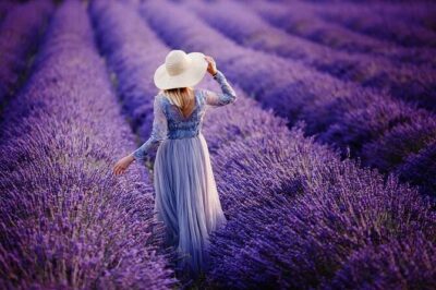 Lavender Fields Full Day Private Tour From Marseille - Lake Sainte-Croix and the Verdon views