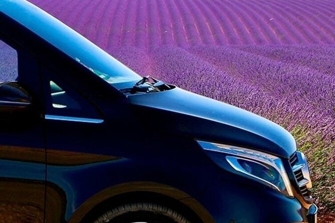 Lavender Fields Full Day Private Tour From Marseille - Who should book this day from Marseille